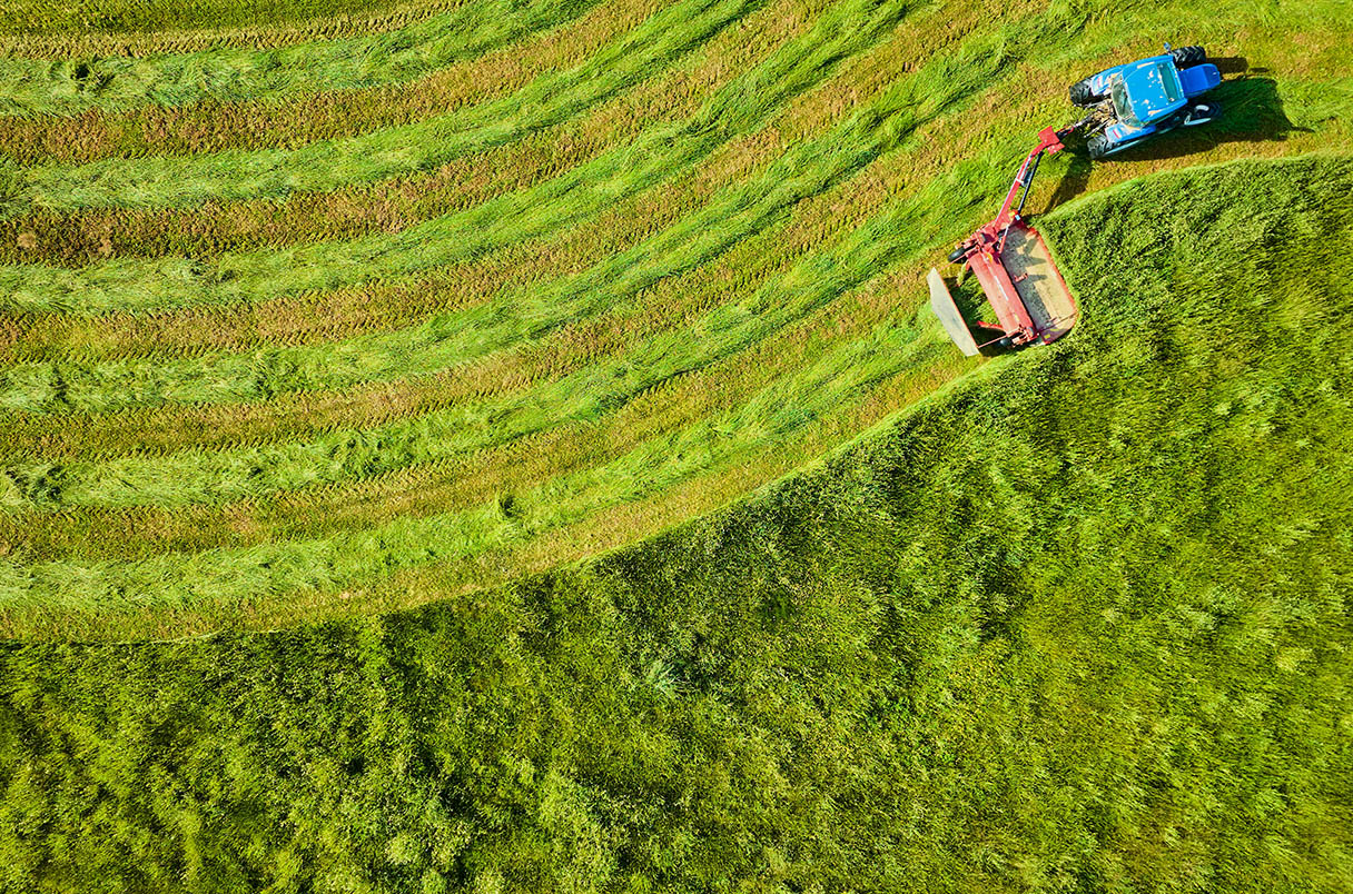 _20250131_nib_mowing.jpg